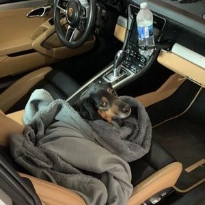 Meet your Posher, Ryann